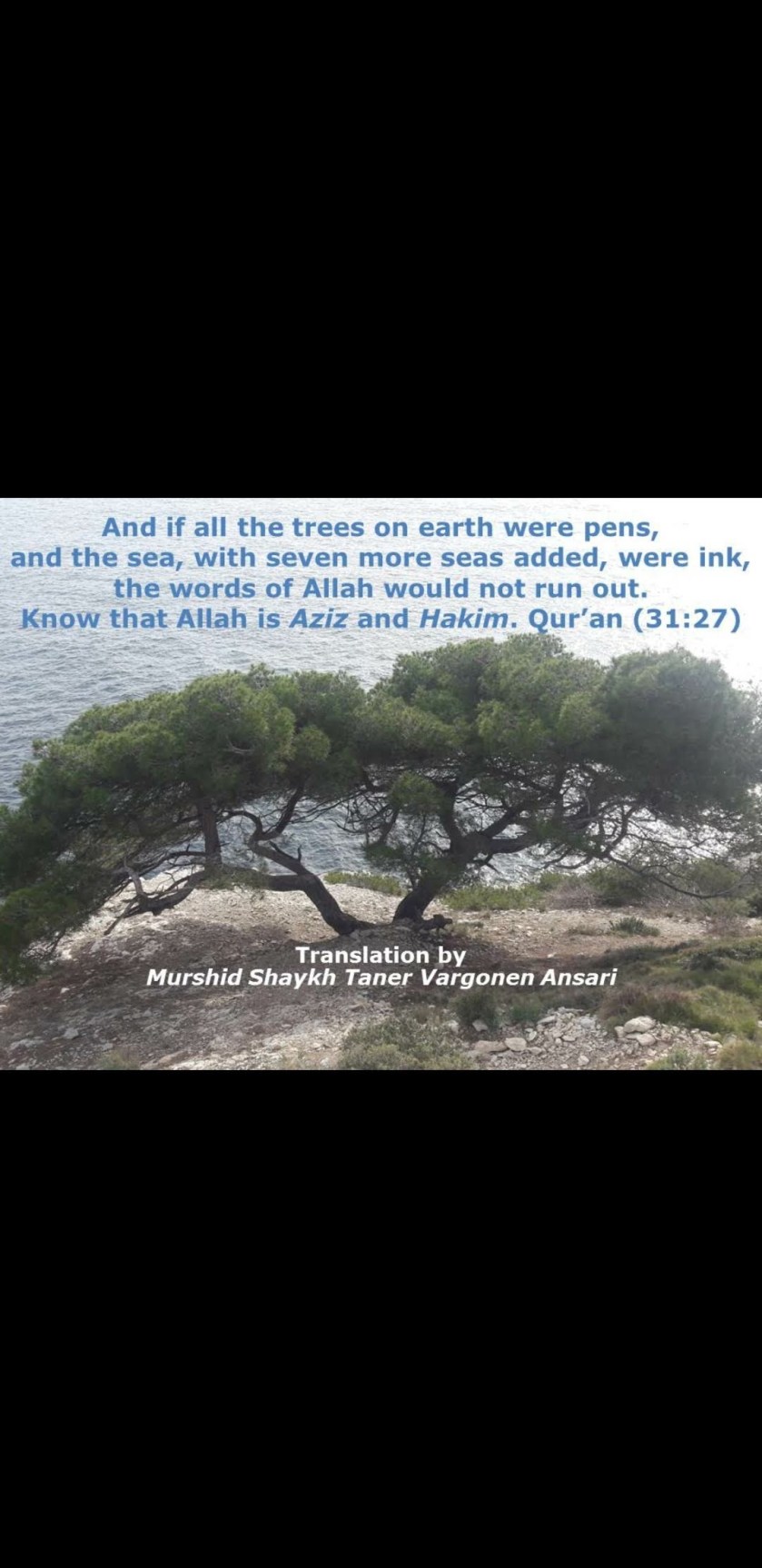 screenshot_20200402-221705_whatsapp